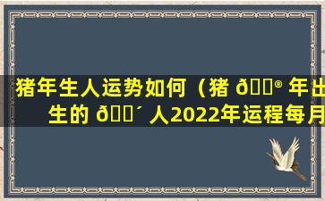 猪年生人运势如何（猪 💮 年出生的 🐴 人2022年运程每月运势）